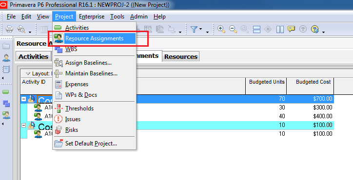 What is Cost Account in Primavera P6 used for - 3