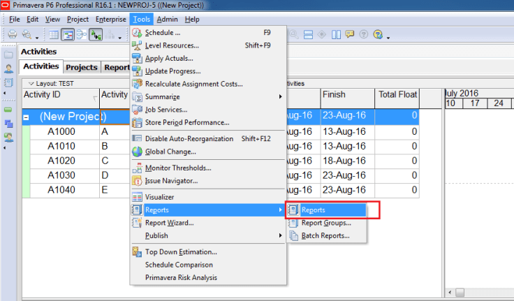 Filter activity by Relationship Type in Primavera P6 - 1