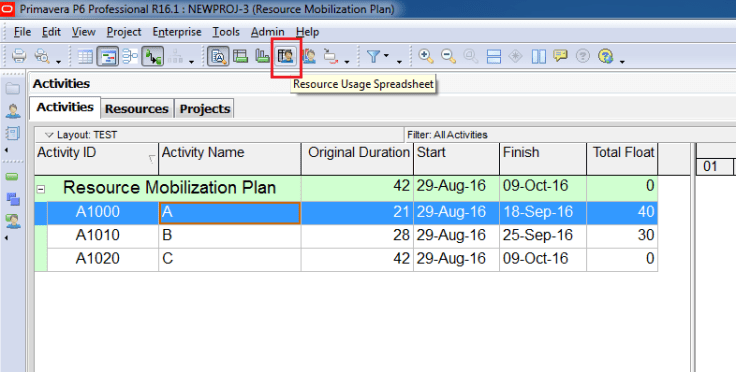 How to make a labor, equipment mobilization plan in Primavera P6 - 2