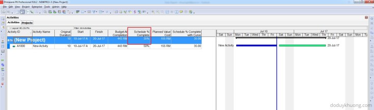 How does Primavera P6 calculate Planned Value Cost for Activities with Resource Curves in Earned Value Management-11