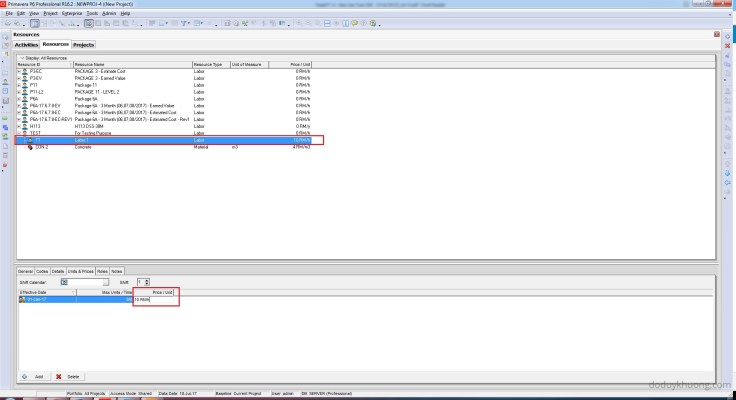 How to change currency in Primavera P6 and How is data stored when using multiple currencies-4