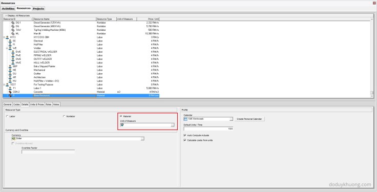 Why is Unit of Measure not showing in Resource Usage Profile in Primavera P6-2