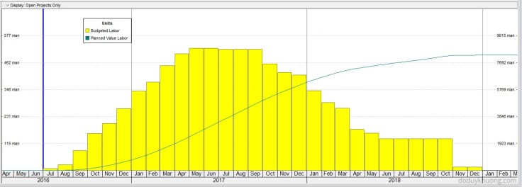 Why is Unit of Measure not showing in Resource Usage Profile in Primavera P6-5