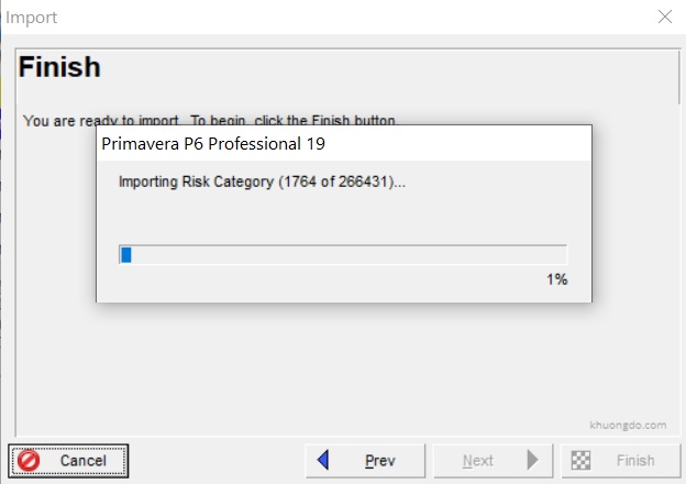 Primavera P6 XER Import is slow hanged when importing Risk Category and How to avoid-1